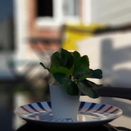 Le Chat Bleu - 26M2- Terrasse Sur Les Toits - Wi-Fi Amiens Eksteriør billede