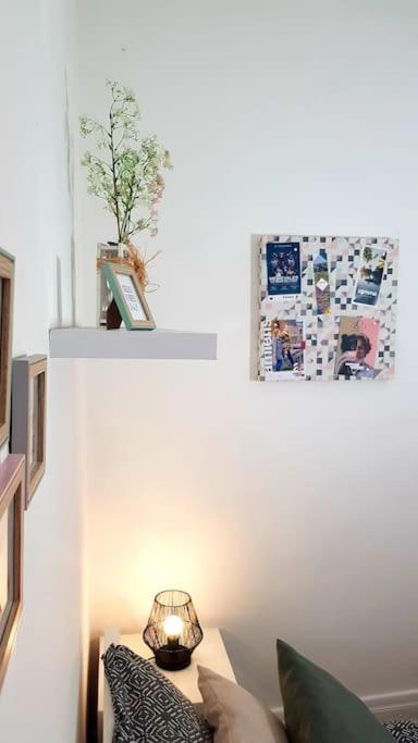Le Chat Bleu - 26M2- Terrasse Sur Les Toits - Wi-Fi Amiens Eksteriør billede